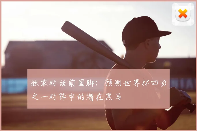 独家对话前国脚:预测世界杯四分之一对阵中的潜在黑马