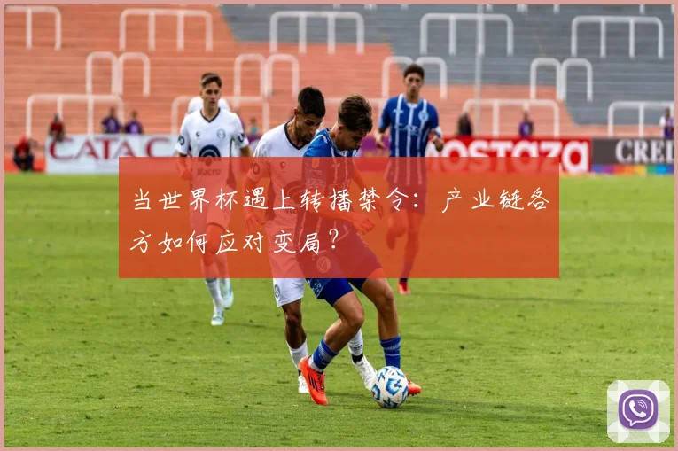 当世界杯遇上转播禁令：产业链各方如何应对变局？