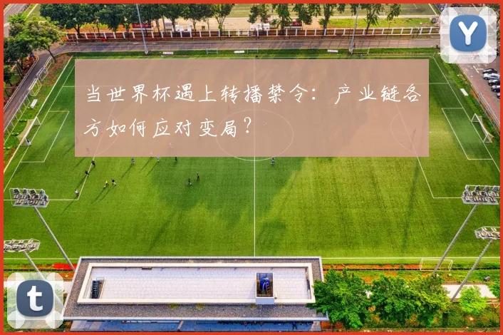 当世界杯遇上转播禁令：产业链各方如何应对变局？