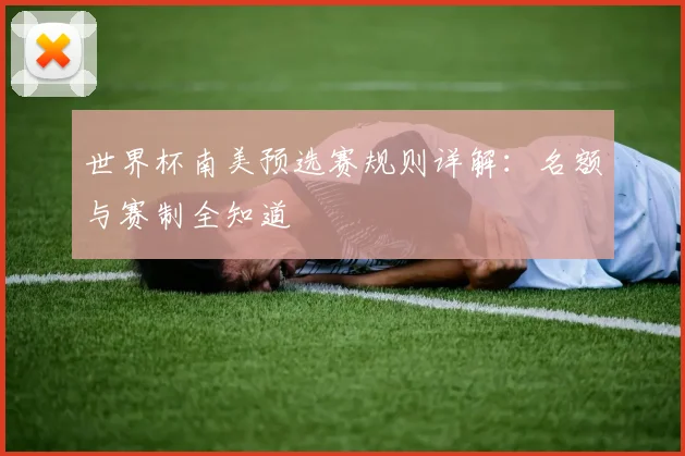 世界杯南美预选赛规则详解：名额与赛制全知道