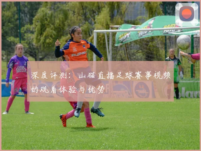 深度评测：山猫直播足球赛事视频的观看体验与优势