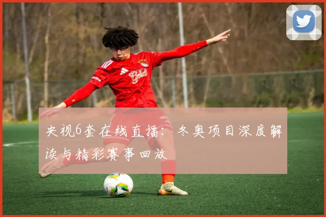 央视6套在线直播：冬奥项目深度解读与精彩赛事回放
