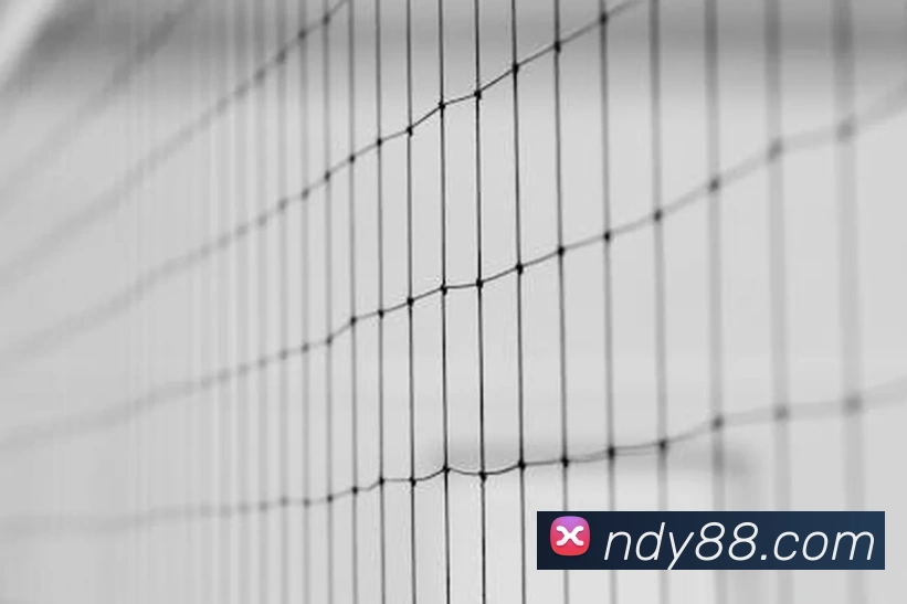 mksports官方商城入口品牌故事